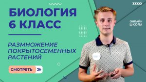 Размножение покрытосеменных растений. Видеоурок 22. Биология 6 класс
