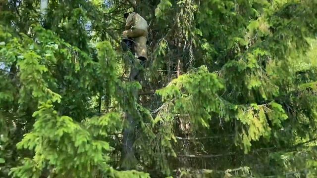 #Пасека 2020. Подготовка к роевому сезону. Как устанавливать ловушки и 100% получить результат смотреть онлайн