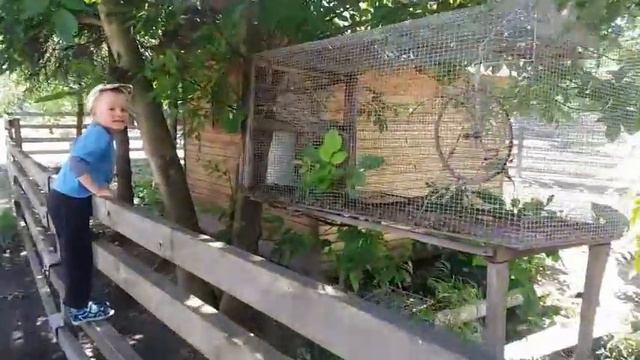 Harmful Twin Children Mini zoo. Вредные дети близнецы в мини зоопарке смотреть онлайн