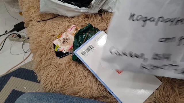 Готовлю утку и посылка из России смотреть онлайн