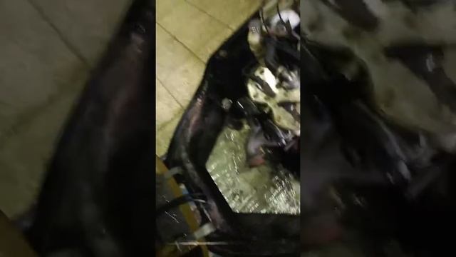 Скандик 600 смотреть онлайн