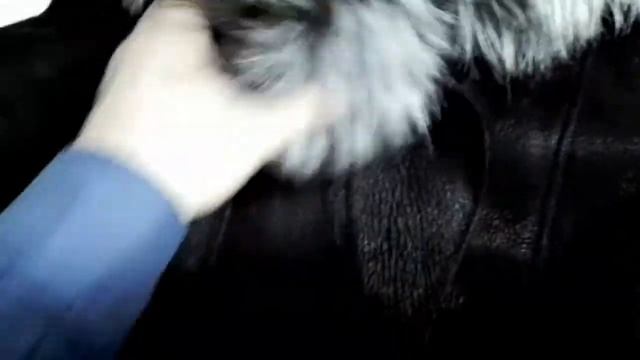 Как изменить фасон дубленки. Часть 2. смотреть онлайн