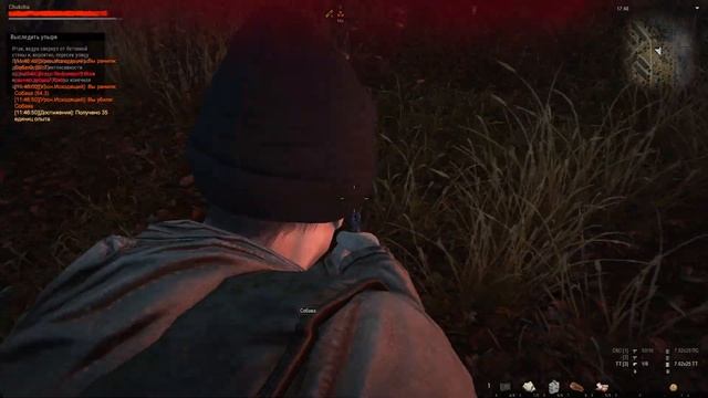 Stalker Online | Обычный игрок | Любеч | Первая охота #10 смотреть онлайн