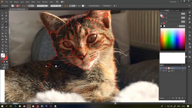 speed art vector pet cat in adobe illustrator смотреть онлайн