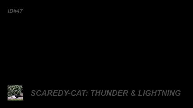 THUNDER & LIGHTNING | LYRICS смотреть онлайн