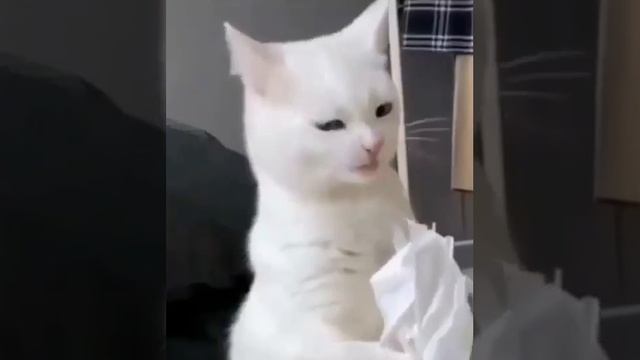 Невкусное смотреть онлайн