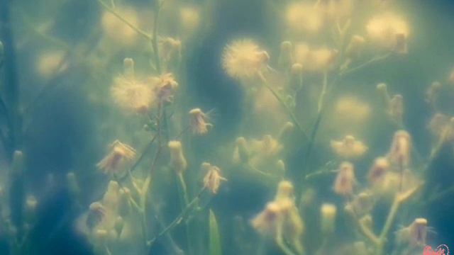 4.3 смотреть онлайн