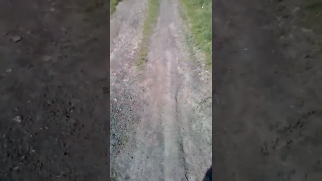 Яшкино Кемеровская область смотреть онлайн