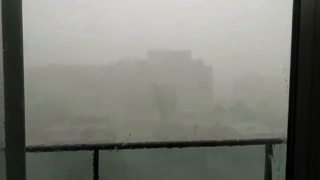 20 ТРЕНОЖНИКОВ СНЯТЫХ НА КАМЕРУ - Lion Channel смотреть онлайн