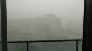 20 ТРЕНОЖНИКОВ СНЯТЫХ НА КАМЕРУ - Lion Channel