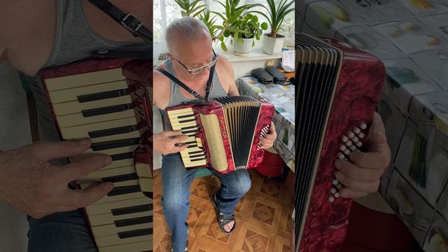 Italian accordion Firotti, 1/2 accordion, 32 Bass, 2 register, 26 key, 2 voices, SALE In descriptio смотреть онлайн
