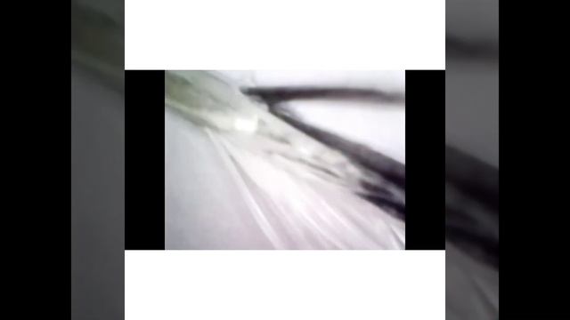 Лечение птиц. На приёме волнистый попугай. Проблемы с оперением. смотреть онлайн