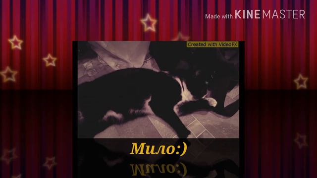 ☆☆Мне всегда было интересно, что Мурка делает весь день!☆☆ смотреть онлайн