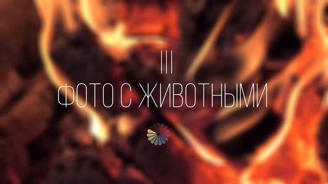 Уютный подкаст : дорогие покупки, самооборона, фото с животными и феномен современных пар смотреть онлайн