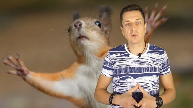 ГДЕ СЫРОЕД БЕРЕТ БЕЛОК?? смотреть онлайн