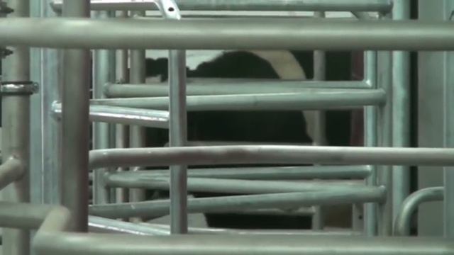 ОАО «Совхоз «Червишевский» смотреть онлайн