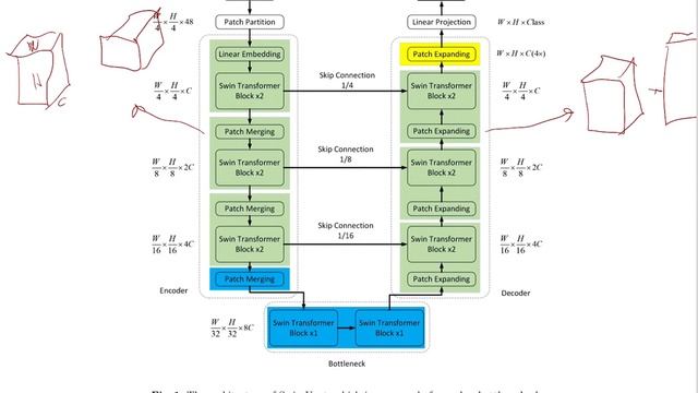Swin-Unet: Unet-like Pure Transformer for Medical Image Segmentation смотреть онлайн