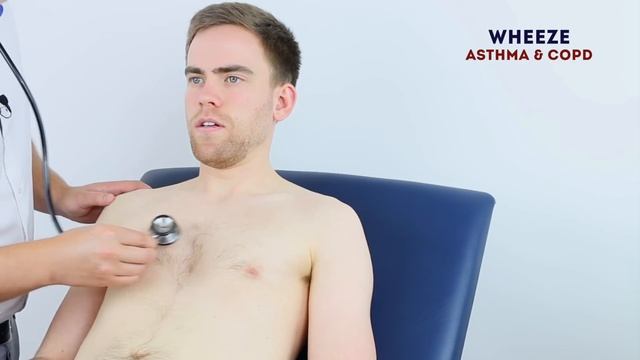Respiratory Examination - OSCE Guide (Latest) смотреть онлайн