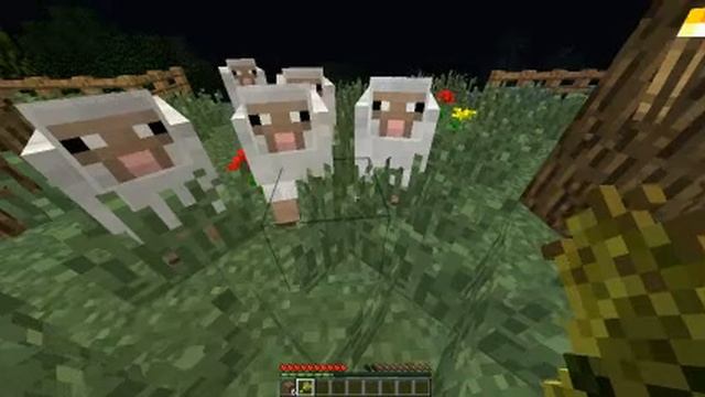 WHO LET THE SHEEP OUT- MINECRAFT!!!!! смотреть онлайн
