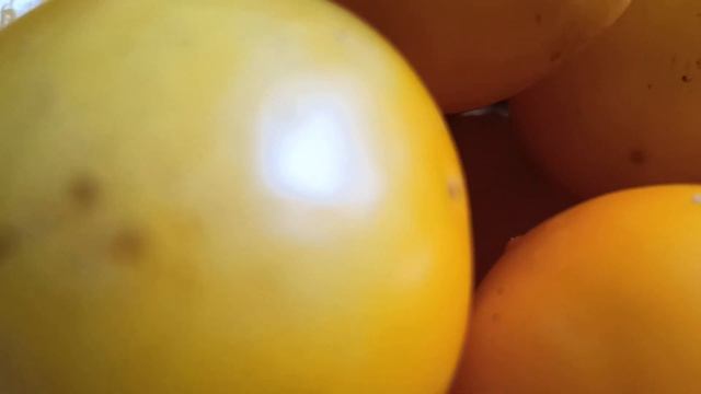 21день без молока. День 1 - помидоры. смотреть онлайн