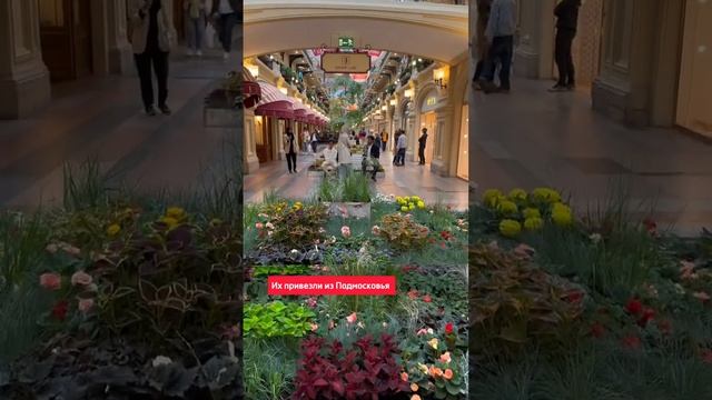 Летний ГУМ смотреть онлайн