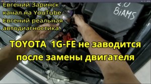 toyota 1g fe не заводится после замены двигателя