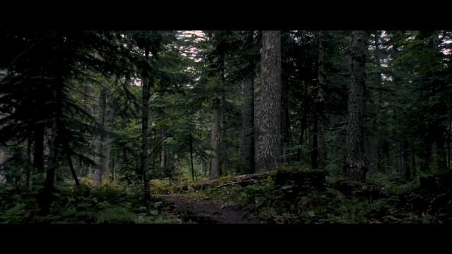 Создавай свою сказку. create your own fairy tale смотреть онлайн