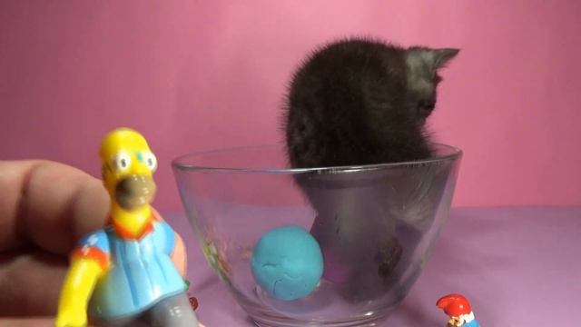 Play-doh surprise kittens looking for toys, котята ищут игрушки в пластилине, "プレイドゥ驚きの猫を探し玩具 смотреть онлайн