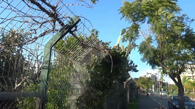 Первый рабочий день. Нужные и хорошие подарки. смотреть онлайн