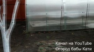 ЧТО Я УСПЕЛА ПОСАДИТЬ В АПРЕЛЕ НА ОГОРОДЕ!САДОВЫЕ РАБОТЫ В АПРЕЛЕ! ВЕСЕННИЕ РАБОТЫ В САДУ И ОГОРОДЕ