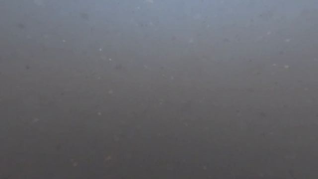 КАК ХИЩНИК ВИДИТ ПРИМАНКИ ПОД ВОДОЙ смотреть онлайн