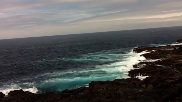 Albatros-Vogel-Abflugfelsen an Westspitze der Galapagos-Insel Española смотреть онлайн
