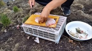 филе карасей совсем без костей