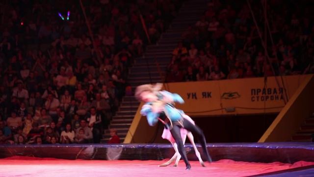 Кенгуру нападает на человека смотреть онлайн