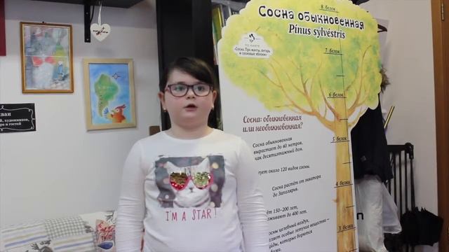 История создания Винни Пуха от Василисы Бойко смотреть онлайн