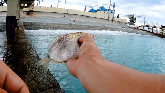 РОКФИШИНГ. ЧЁРНОЕ МОРЕ/Rockfishing. Black sea. смотреть онлайн