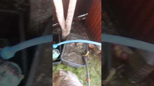 Четвертый таз грязи и песка смотреть онлайн