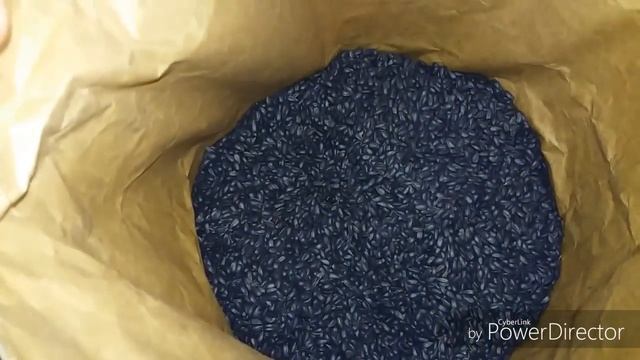 Лимогрейн и Сингента Посевной материал Подсолнуха 2018! 7 гибридов. Агро-канал смотреть онлайн