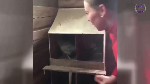 ВЫПУСКНОЙ В НАЧАЛЬНОЙ ШКОЛЕ 4 Д КЛАСС смотреть онлайн