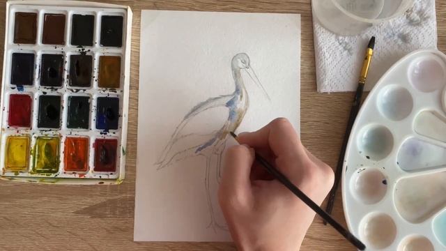 Как нарисовать аиста карандашом и акварелью начинающим | Рисунок для детей смотреть онлайн