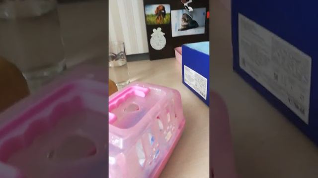 обзор )как обустроить для игрушечной собаки переноску или коробку🐕🏠 смотреть онлайн