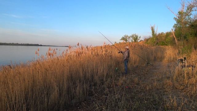 ЛОВЛЯ БЕЛОГО ХИЩНИКА РЫБАЛКА НА ВОЛГЕ РЫБАЛКА НА ЗАКИДУШКИ РЫБАЛКА 2021 ГОЛАВЛЬ смотреть онлайн