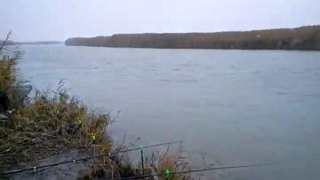 Рыбалка на Ире (балхаш) смотреть онлайн