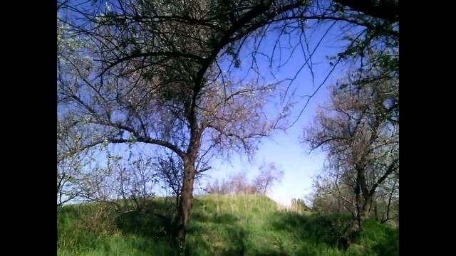 Пламя и Мангал смотреть онлайн