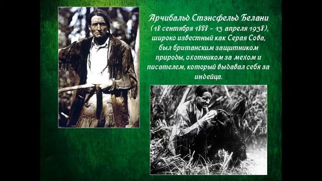 Бобр - король грызунов смотреть онлайн