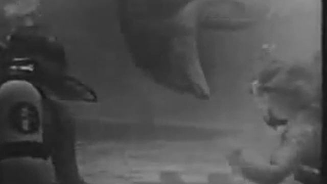 The Munsters - Marineland Carnival смотреть онлайн