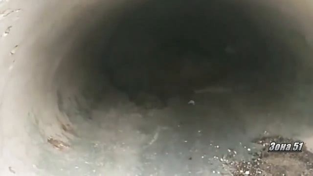 пришельцы сняты на камеру 2019 год