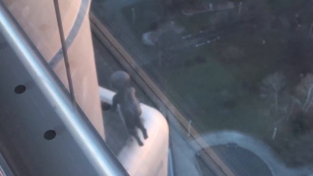 Прага, Жижковская Телевизионная башня! Красивый закат. Žižkovská televizní věž! Praha Vlog 119 смотреть онлайн