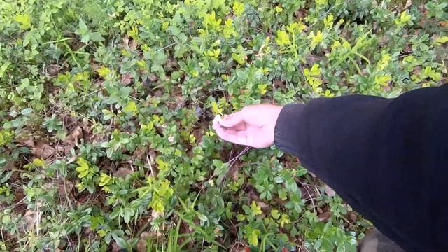 Разбудил щучье логово! Рыбалка на спиннинг на реке в новых местах смотреть онлайн