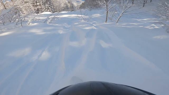 Тест сноуборда Korua Shapes Dart после снегопада на Роза Хутор. KORUA VS JONES PowderDay Freeride смотреть онлайн